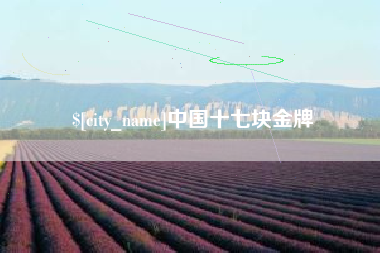 晋江中国十七块金牌