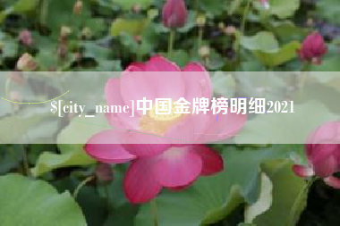 晋江中国金牌榜明细2021