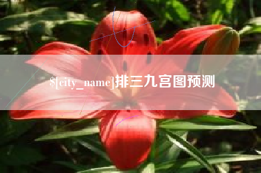 晋江排三九宫图预测