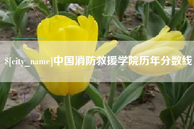 晋江中国消防救援学院历年分数线