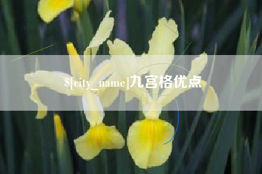 晋江九宫格优点