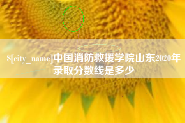 晋江中国消防救援学院山东2020年录取分数线是多少