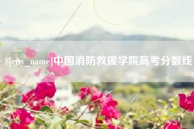 晋江中国消防救援学院高考分数线