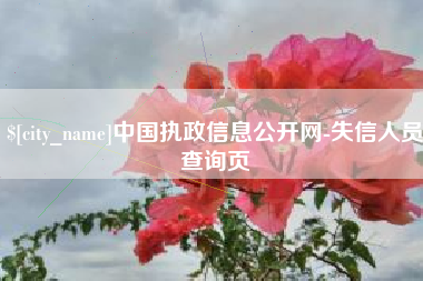 晋江中国执政信息公开网-失信人员查询页