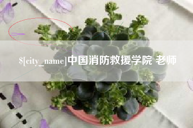 晋江中国消防救援学院 老师
