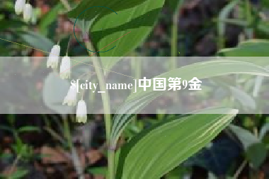 晋江中国第9金