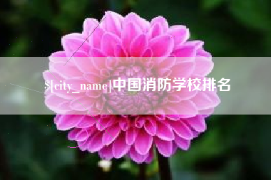 晋江中国消防学校排名