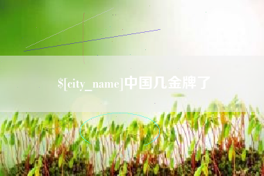晋江中国几金牌了