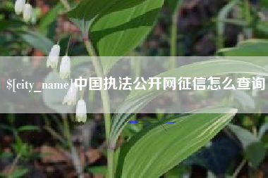 晋江中国执法公开网征信怎么查询