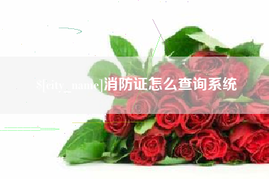 晋江消防证怎么查询系统