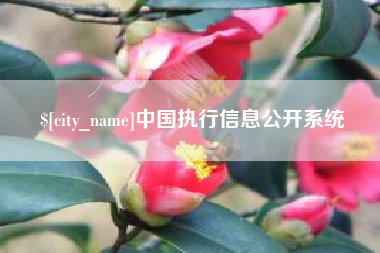 晋江中国执行信息公开系统