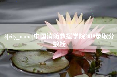 晋江中国消防救援学院2019录取分数线