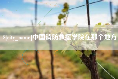 晋江中国消防救援学院在那个地方