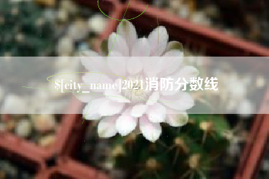 晋江2021消防分数线