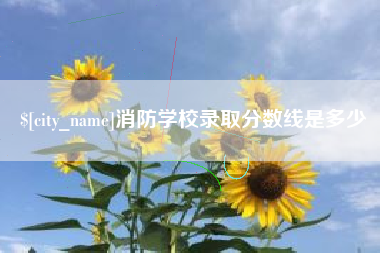 晋江消防学校录取分数线是多少