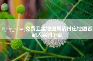 晋江免费卫星地图高清村庄地图看到人实时下载