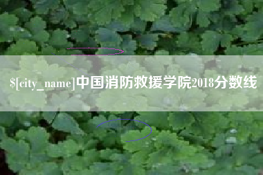 晋江中国消防救援学院2018分数线