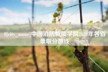 晋江中国消防救援学院2020年各省录取分数线