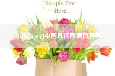 晋江中国执行网信息官网