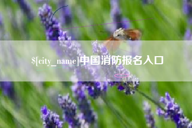 晋江中国消防报名入口