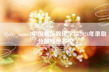 晋江中国消防救援学院2024年录取分数线是多少