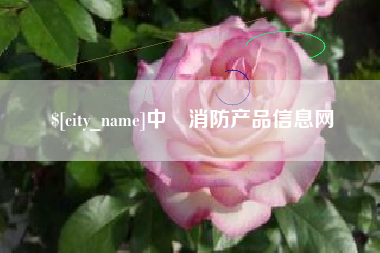 晋江中囯消防产品信息网