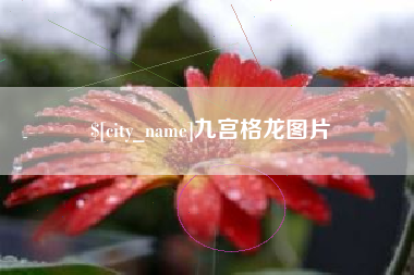 晋江九宫格龙图片