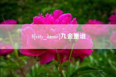 晋江九金是谁