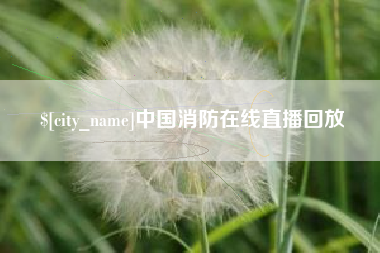 晋江中国消防在线直播回放