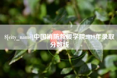 晋江中国消防救援学院2019年录取分数线