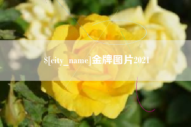 晋江金牌图片2021