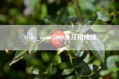 晋江5000米及格成绩