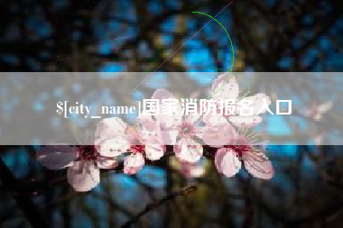 晋江国家消防报名入口