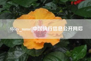 晋江中国执行信息公开网后