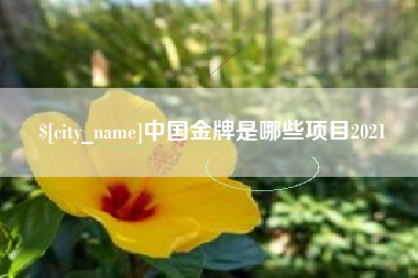 晋江中国金牌是哪些项目2021