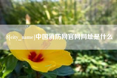 晋江中国消防网官网网址是什么