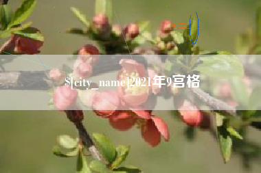 晋江2021年9宫格