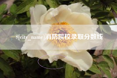 晋江消防院校录取分数线