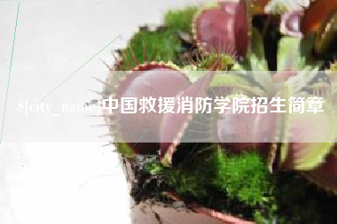 晋江中国救援消防学院招生简章
