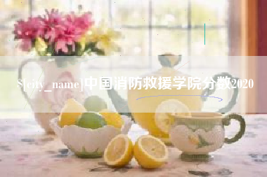 晋江中国消防救援学院分数2020