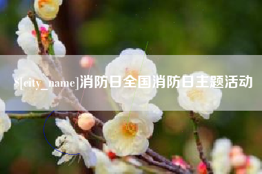晋江消防日全国消防日主题活动