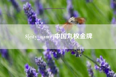 晋江中国九枚金牌