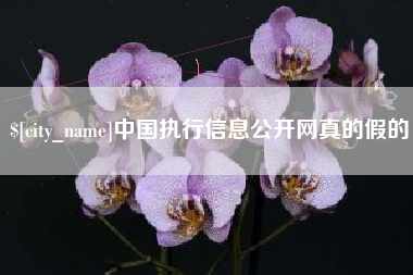 晋江中国执行信息公开网真的假的