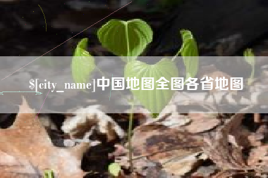 晋江中国地图全图各省地图
