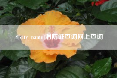 晋江消防证查询网上查询