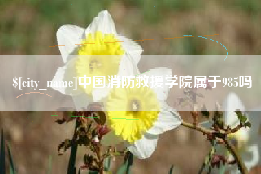 晋江中国消防救援学院属于985吗