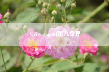 晋江第九金是