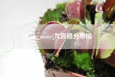 晋江九宫格分布图