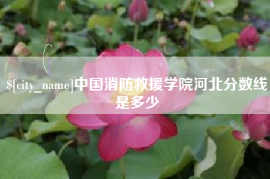 晋江中国消防救援学院河北分数线是多少