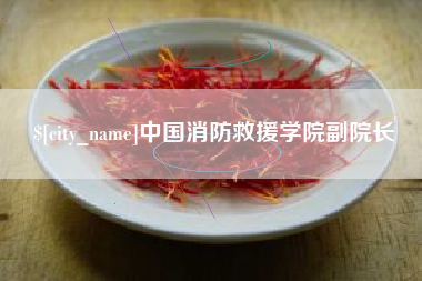 晋江中国消防救援学院副院长